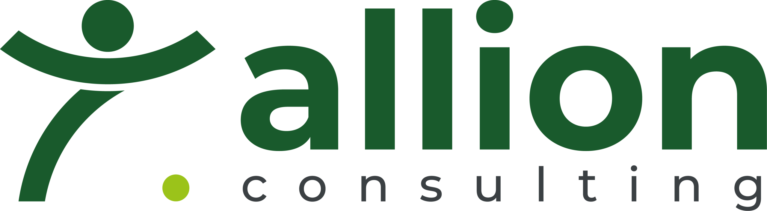 Allion Consulting