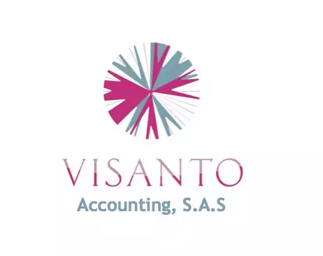 visasanto-accounting